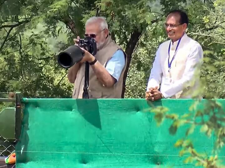 Congress Claims PM Modi Releasing Cheetahs Is Diversion From 'Bharat Jodo Yatra' 'Orchestrated Tamasha': Congress Claims PM Modi Releasing Cheetahs Is Diversion From 'Bharat Jodo Yatra'