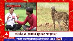 Cheetahs Return to India : अमरावतीचे ग्रासमॅन गजानन मुरतकर यांनी तयार केलं चित्त्यांसाठी कुरणक्षेत्र