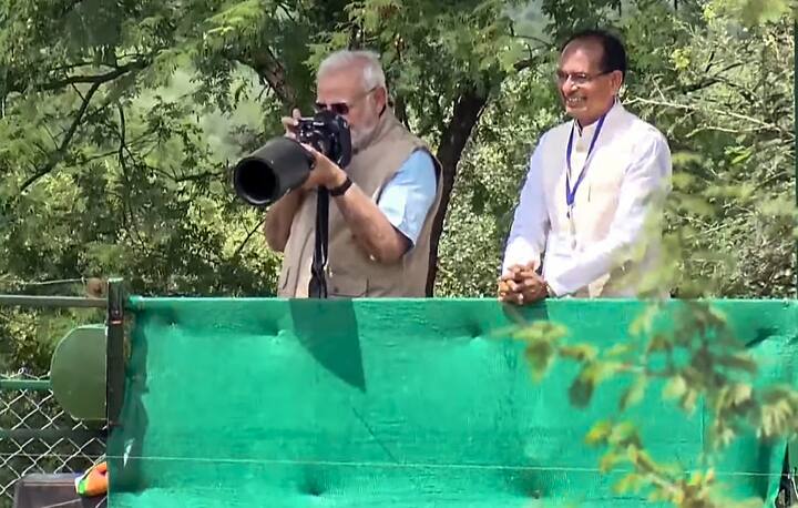 PM Modi takes photographs of the cheetahs standing next to Madhya Pradesh Shivraj Singh Chouhan in Kuno National Park.  (Image Source: PTI)