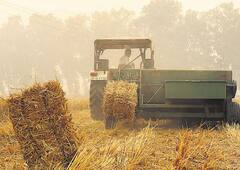 ਪੰਜਾਬ 'ਚ ਕੰਪਰੈੱਸਡ ਬਾਇਓਗੈਸ ਨਾਲ ਹੋਵੇਗਾ ਪਰਾਲੀ ਦਾ ਪ੍ਰਬੰਧਨ, 21 ਮੈਂਬਰੀ ਟਾਸਕ ਫੋਰਸ ਦਾ ਗਠਨ