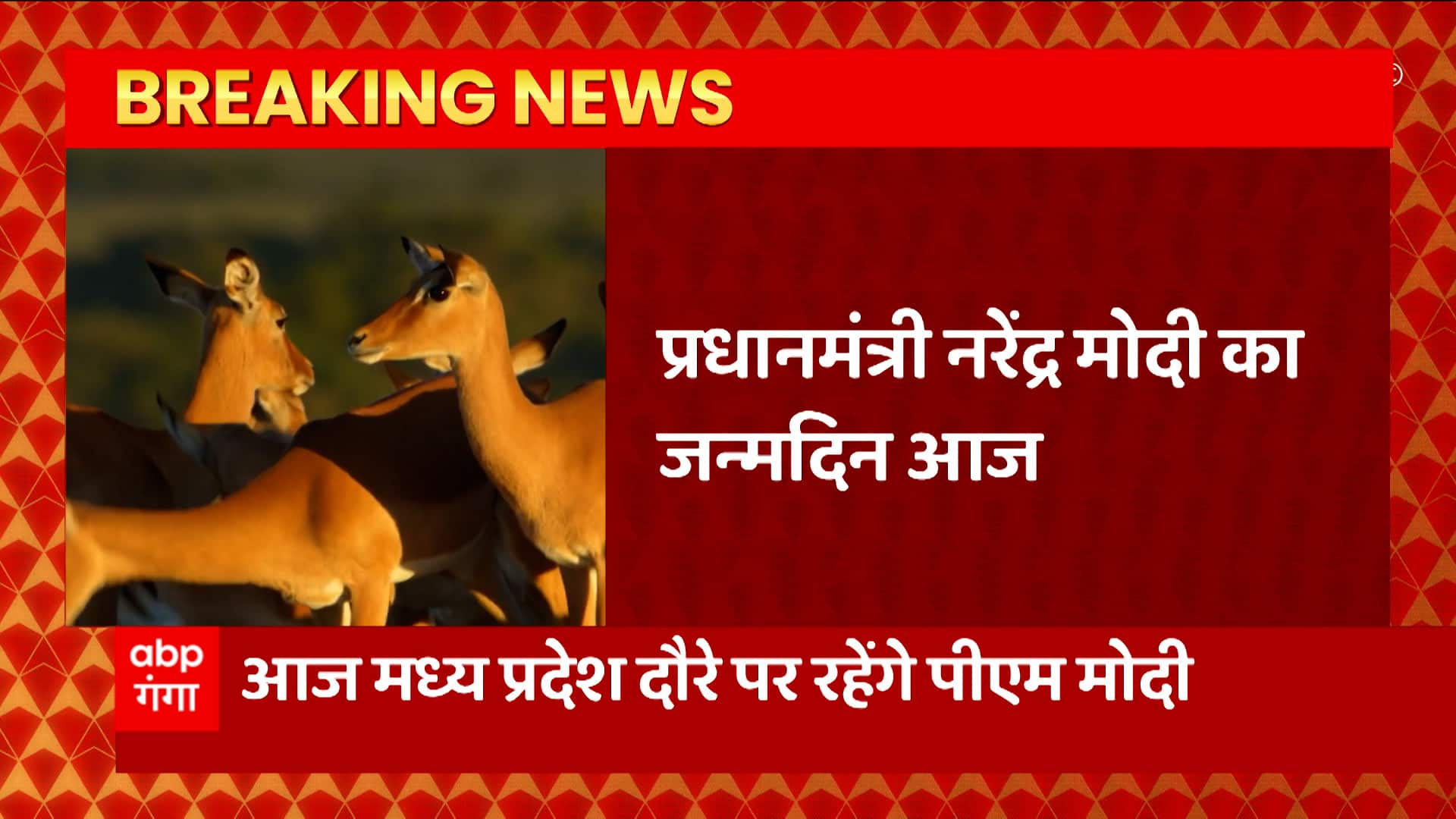 ABP News ABP News