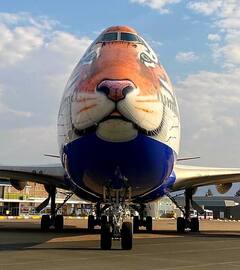 Project Cheetah : आफ्रिकन चित्ते कुनो अभयारण्यात दाखल, पंतप्रधानाच्या हस्ते चित्ते अभयारण्यात सोडणार