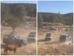 पहले सांड ने मारा फिर जैसे-तैसे बचकर कार पर चढ़ा तो कार ने भी पटक दिया