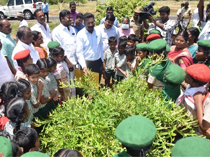 ஓராண்டு நிறைவு நாள்... விருட்ச வனத்தில் மாணவர்களுக்கு விளக்கம் அளித்த தஞ்சை கலெக்டர்!