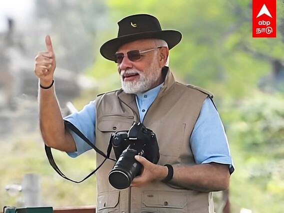 PM Modi Releases Wild Cheetahs : ”புலிகளுடன் மோடி”இது பிரதமரின் பிறந்தநாள் ஸ்பெஷல்!