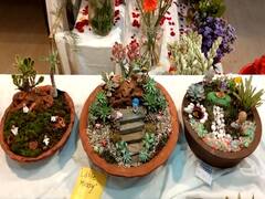 स्वातंत्र्याचा अमृतमहोत्सव, सांगलीत रंगबिरंगी फुलातून साकारली भारतमाता