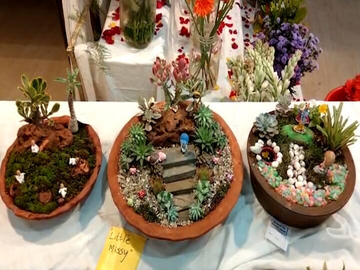 स्वातंत्र्याचा अमृतमहोत्सव निमित्त सांगलीत गुलाबपुष्प प्रदर्शनाचे आयोजन