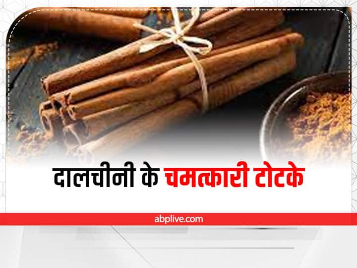 cinnamon astrological benefits dalchini ke upay totke to get money Dalchini Ke Totke: चमत्कारी हैं दालचीनी के ये 3 टोटके, धन लाभ के लिए ऐसे करें इस्तेमाल