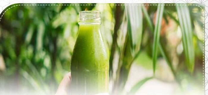 Diet In Dengue: વરસાદની ઋતુમાં મચ્છરો અનેક રોગો ફેલાવે છે, જેમાંથી સૌથી ખતરનાક ડેન્ગ્યુ છે. આ રોગમાં પ્લેટલેટ્સ ઝડપથી ઘટે છે. આવી સ્થિતિમાં દર્દીના આહારનું ધ્યાન રાખવું જરૂરી છે.