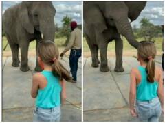 छोटी बच्ची ने विशालकाय हाथी के सामने किया डांस, एक्सप्रेशन ने जीता दिल
