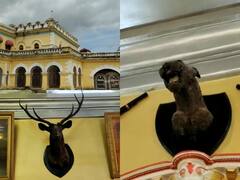 IN Pics: बस्तर रियासत के राजमहल में आज भी मौजूद है देश के अंतिम चीते का सिर, देखें तस्वीरें