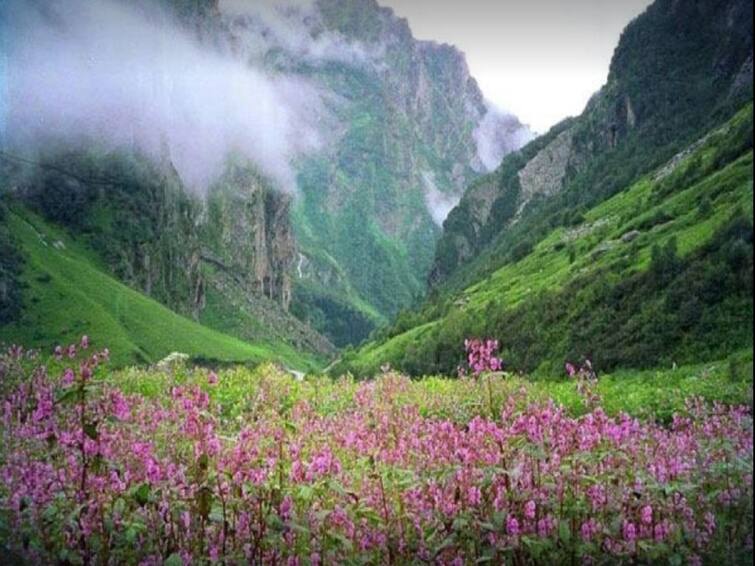 How Technology Can Save Fast Disappearing Beauty Of Valley Of Flowers In Uttarakhand Tech Saves Nature: పూలు పూయిస్తున్న టెక్నాలజీ- శంకర్‌ సినిమా కాదు ఉత్తరాఖండ్‌లో కనిపిస్తున్న నిజం