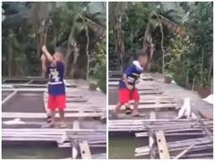 छोटे से बच्चे ने बड़ी मेहनत से किया मछली का शिकार, पानी से बाहर निकालते ही ले उड़ी बिल्ली