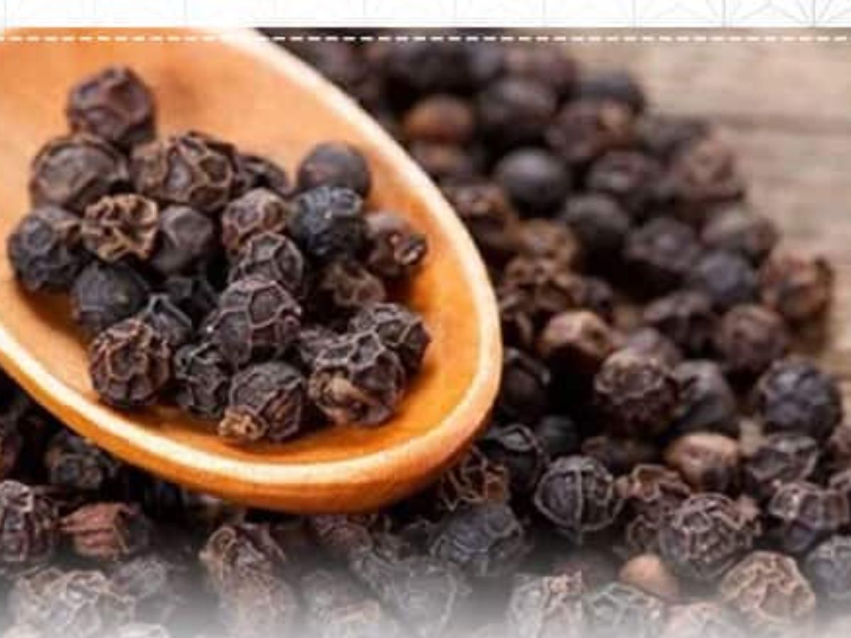 Black Pepper Astrological Benefits Black Pepper   D8511c92dcaff2b133507052c613663d1663525532644328 Original 