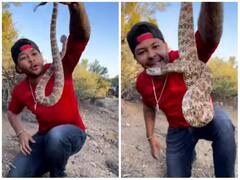 सांप पकड़ने की जल्दी में कभी न हों उतावले, मरते-मरते बचा शख्स