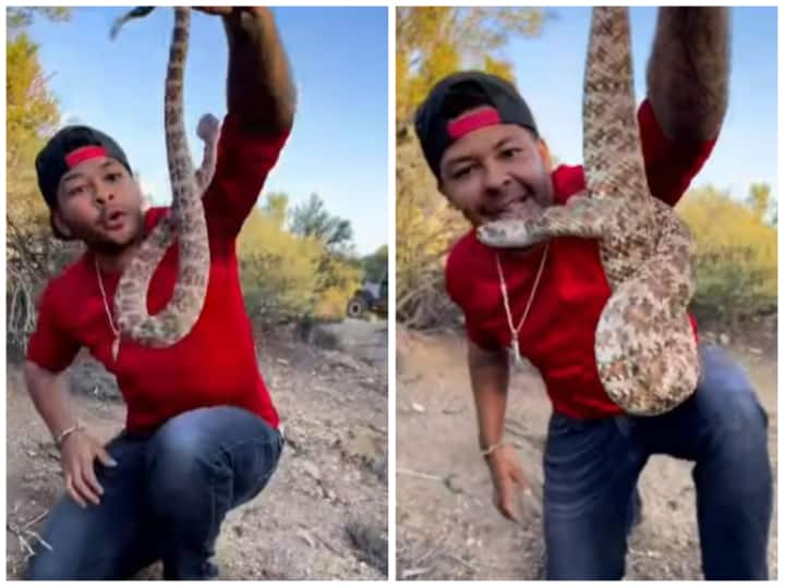 Snake Catcher saved rattle snake venom In a hurry to catch him video viral Video: सांप पकड़ने की जल्दी में कभी न हों उतावले, मरते-मरते बचा शख्स
