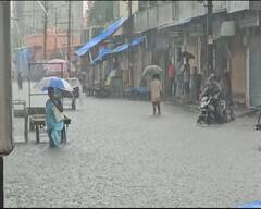 Gujarat Rains: નવસારીમાં સતત સાતમાં દિવસે વરસાદ, જનજીવન થયું પ્રભાવિત, જુઓ તસવીરો