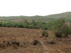 रिफायनरीला विरोध असलेल्या ठिकाणी ग्रामस्थांचे केले जाणार प्रबोधन; असा असेल कार्यक्रम?