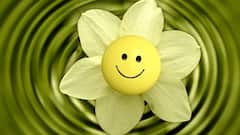 Health Tips: সুস্থ থাকতে তিরিশের পর এই খাবারগুলি মহিলাদের খাওয়া দরকার