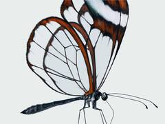 Nothing Teases New Product, Here Is What It Could Be