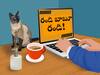 Work From Home Ends: ఇక ఆఫీసులకు రండి- ఉద్యోగులకు TCS పిలుపు!
