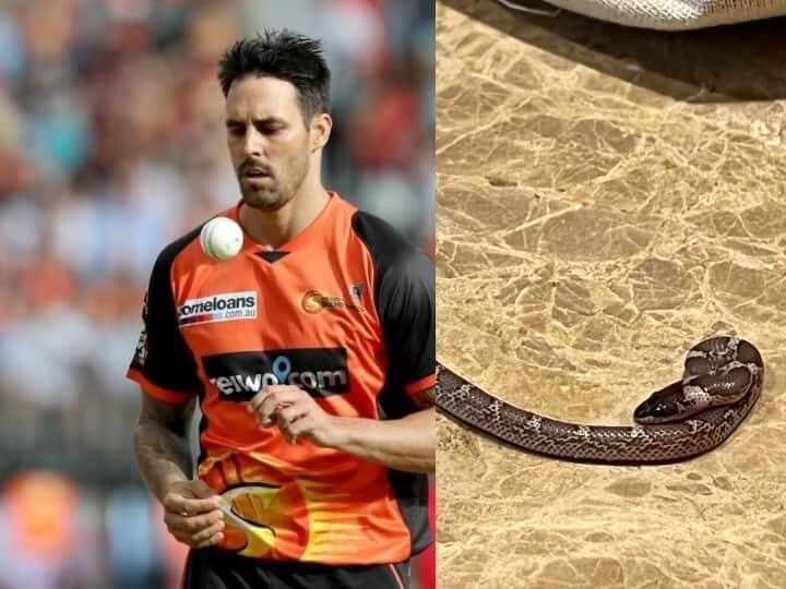 Mitchell Johnson asks this question after Snake found in  hotel room Legends League: ઓસ્ટ્રેલિયાના ક્રિકેટર મિચેલ જોનસનના રૂમમાં નીકળ્યો સાપ, તસવીર શેર કરીને પૂછ્યો આ સવાલ