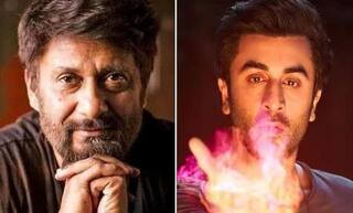 Brahmastra એ 'ધ કાશ્મીર ફાઇલ્સ'ને બોક્સ ઓફિસ પર પછાડી,જાણો  વિવેક અગ્નિહોત્રીએ શું કહ્યુ?