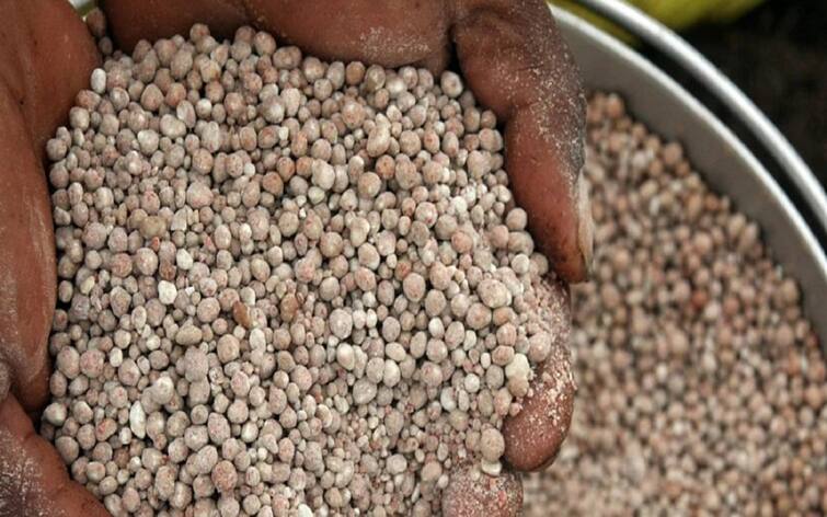 Seeds and chemical fertilizers sold in state can be dangerous for health Government action: इस राज्य में गड़बड़ बिकते मिले बीज और Chemical Fertilizer, सेहत के लिए हो सकते हैं खतरनाक