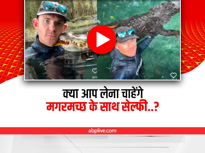 मगरमच्छ के मुंह से मुंह लगाकर शख्स ने निकाला पत्ता और फिर मजे से ली सेल्फी, Video देखिए man taking selfie with crocodile alligator like a pet animal shocking viral video on social media मगरमच्छ के मुंह से मुंह लगाकर शख्स ने निकाला पत्ता और फिर मजे से ली सेल्फी, Video देखिए