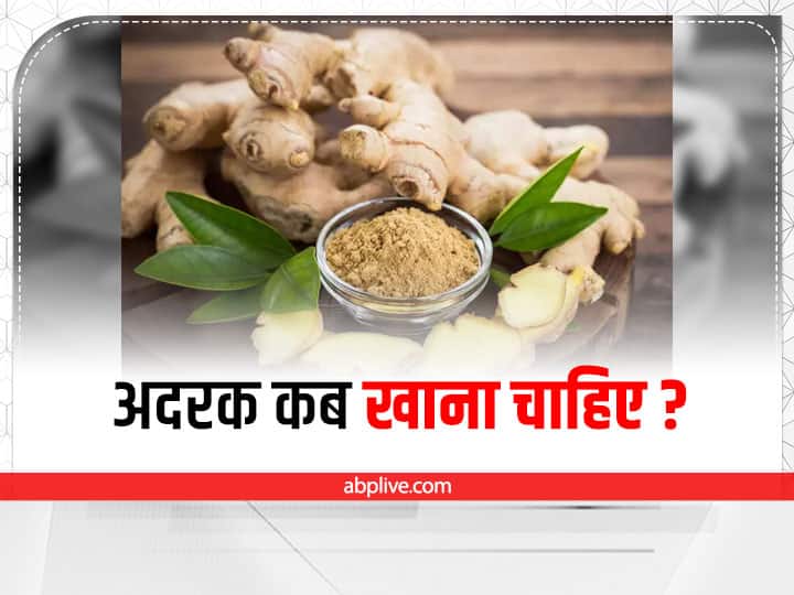 when you eat ginger every day in hindi Ginger In Diet: दिन में कब और कितना खाना चाहिए अदरक? जानें इसकी मात्रा और फायदे