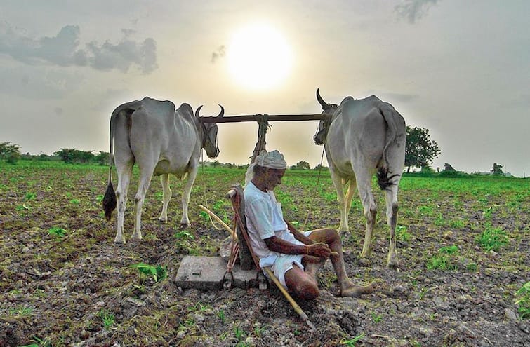 Gujarat Agriculture Scheme: Under this scheme Gujarat government provides subsidy Rs 2 lakh or more to farmers Gujarat Agriculture Scheme: ગુજરાત સરકાર આ યોજનામાં ખેડૂતોને આપે છે રૂપિયા 2 લાખની સહાય, જાણો અરજી કરવાની કઈ છે છેલ્લી તારીખ