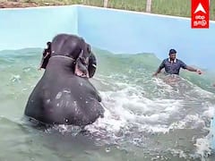 Srivilliputhur Andal Temple Elephant : வைரலான ஆண்டாள் கோயில் யானை.. ஆய்வுக்கு வந்த அசாம் அதிகாரிகள்.