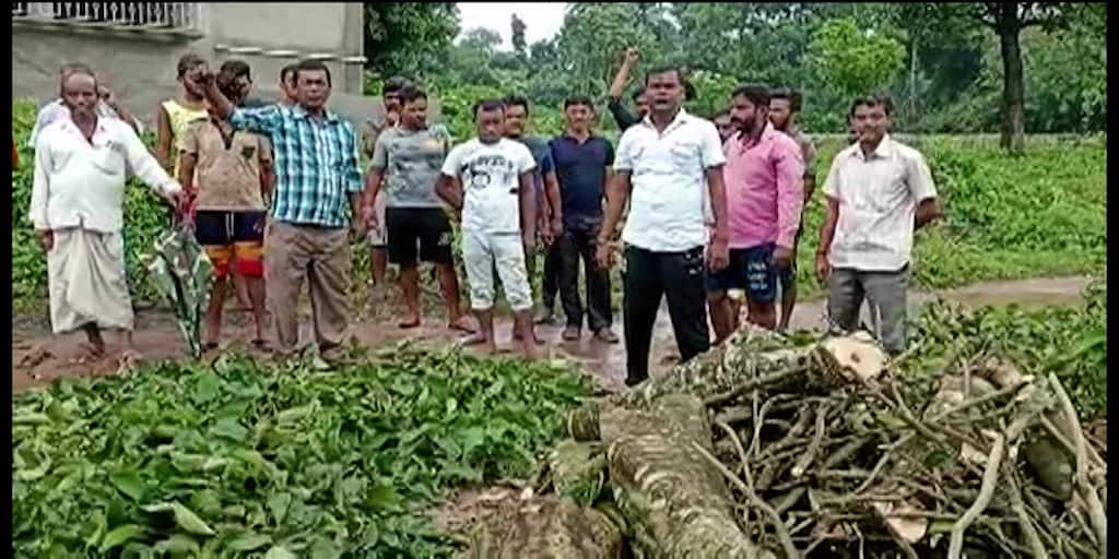Barasat News: সরকারি গাছ কেটে বিক্রির চেষ্টা! অভিযুক্ত তৃণমূলের পঞ্চায়েত সদস্যার স্বামী, উত্তেজনা দেগঙ্গায় North 24 Parganas Barasat Deganga TMC leader accused of cutting down and selling government planted tree Barasat News: সরকারি গাছ কেটে বিক্রির চেষ্টা! অভিযুক্ত তৃণমূলের পঞ্চায়েত সদস্যার স্বামী, উত্তেজনা দেগঙ্গায়