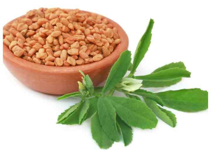 मेथी की पत्तियों के सेवन से कोलेस्ट्रॉल कंट्रोल कर सकते हैं. साथ ही झड़ते बालों की परेशानी दूर की जा सकती है. (Photo - Freepik)