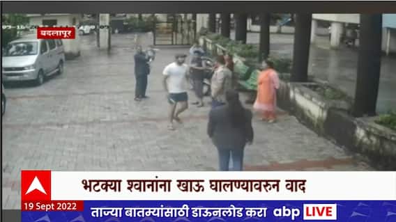 Badlapur : भटक्या कुत्र्यांना बिस्कीट का खाऊ घालताय? सोसायटी सदस्य भिडले, मारहाणीचा Video Viral