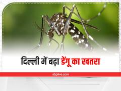 दिल्ली में फिर बढ़ा डेंगू का खतरा, MCD ने इस कंस्ट्रक्शन साइट के खिलाफ दर्ज की एफआईआर