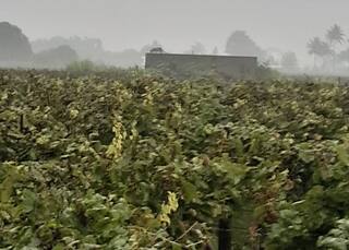 Nashik Leopard : सिन्नरकर धास्तावले! नारळाच्या झाडानंतर बिबट्याचा बंगल्यावर 'मॉर्निंग वॉक'