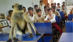 Viral Video: ਬੱਚਿਆਂ ਨਾਲ ਕਲਾਸ 'ਚ ਬੈਠ ਕੇ ਪੜ੍ਹਦਾ ਹੈ ਇਹ ਬਾਂਦਰ, ਵੀਡੀਓ ਹੋਈ ਵਾਇਰਲ, ਲੋਕਾਂ ਨੇ ਕਿਹਾ- ਸਕੂਲ ਦਾ ਨਵਾਂ ਵਿਦਿਆਰਥੀ