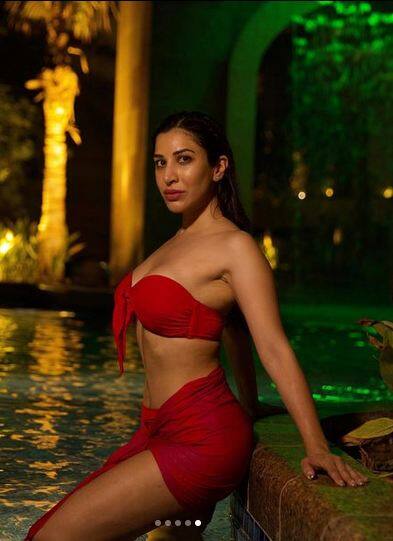 ਬਾਲੀਵੁੱਡ ਤੋਂ ਇਲਾਵਾ ਅਦਾਕਾਰਾ ਸੋਫੀ ਚੌਧਰੀ ਸਾਊਥ ਦੀਆਂ ਫਿਲਮਾਂ 'ਚ ਵੀ ਕੰਮ ਕਰ ਚੁੱਕੀ ਹੈ।