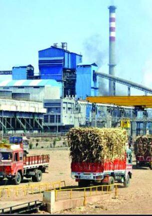 येत्या 15 ऑक्टोबरपासून यंदाचा ऊस गळीप हंगाम सुरु होणार