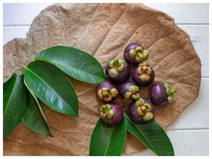 जामुन की पत्तियों को चबाने से भी आप डायबिटीज कंट्रोल कर सकते हैं. इसके अलावा यह कई अन्य परेशानियों को दूर करने में प्रभावी माना जाता है. (Photo - Freepik)