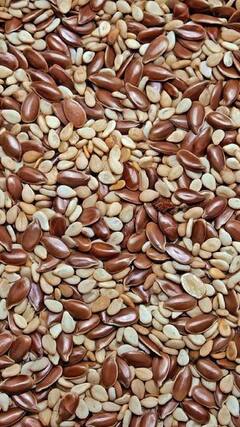 Health Tips : अळशी खाण्याचे 'हे' आहेत आश्चर्यकारक फायदे!