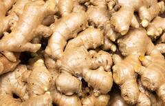 Ginger Benefits : ਜਾਣੋਂ ਅਦਰਕ ਦੇ ਗੁਣਾਂ ਬਾਰੇ, ਮਨੁੱਖੀ ਸਰੀਰ ਲਈ ਕਿੰਨਾ ਫਾਇਦੇਮੰਦ