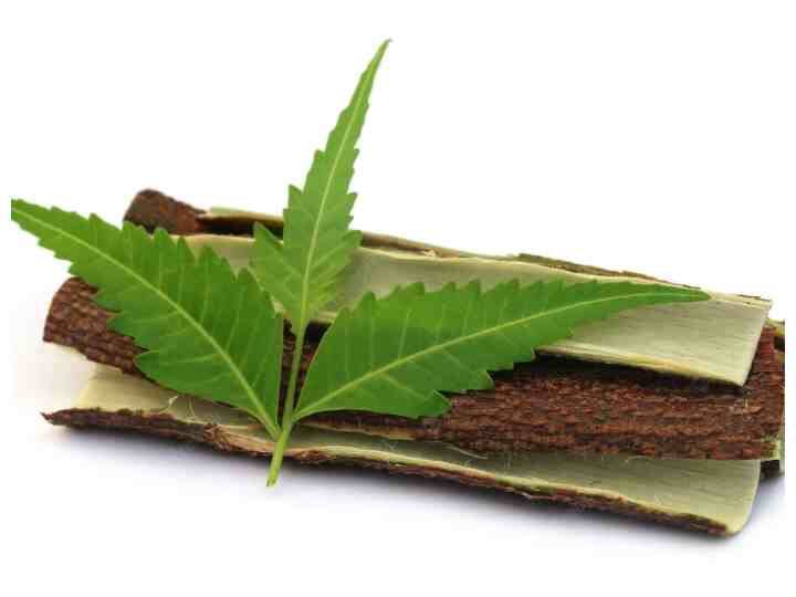 नीम की पत्तियों के अनगिनत फायदे हैं. इससे स्किन से लेकर बालों की परेशानियां दूर की जा सकती हैं. (Photo - Freepik)