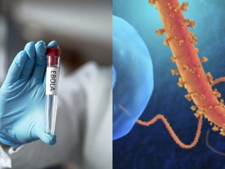 Ebola Virus Outbreak in Uganda One Death Confirm in Sudan Ebola Virus Outbreak: युगांडा में इबोला वायरस का प्रकोप, एक की मौत, सरकार ने जारी किया अलर्ट