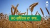 ਕਣਕ ਦੀ ਪੈਦਾਵਾਰ ਦਾ ਟੁੱਟੇਗਾ ਰਿਕਾਰਡ, ਇਹ ਕਿਸਮ ਦੇਵੇਗੀ 90 ਕੁਇੰਟਲ ਦਾ ਝਾੜ, ਕਿਸਾਨਾਂ ਨੂੰ ਹੋਵੇਗਾ ਚੋਖਾ ਮੁਨਾਫਾ