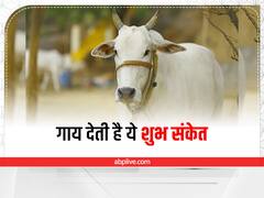 Dream interpretation: सपने में दिखे गाय तो समझिए जल्द मिलने वाली है सफलता, मिलते हैं ये शुभ संकेत