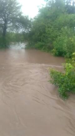 Photo: औरंगाबादच्या सवंदगाव परिसरत दमदार पाऊस; विद्यार्थी-गावकऱ्यांचा पुराच्या पाण्यातून प्रवास