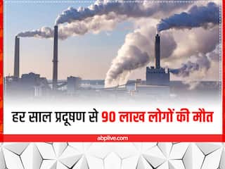 पराली-धुंध से बचाकर रखें अपनी सेहत, प्रदूषित हवा से होने वाली मौत का ये आंकड़ा है दर्दभरा