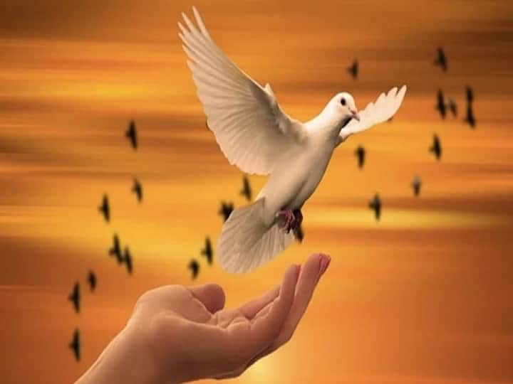 International Day Of Peace 2022 know history significance and importance of the day marathi news International Day Of Peace 2022 : आज आहे 'आंतरराष्ट्रीय शांती दिवस'; जाणून घ्या इतिहास आणि महत्त्व